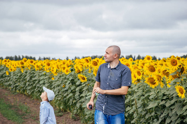 A father and son fly a kite in a field of sunflowers. Rural area, Russia. - Foto, afbeelding