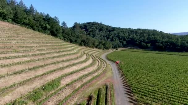 Aerial view of Napa Valley vineyard landscape  - Footage, Video