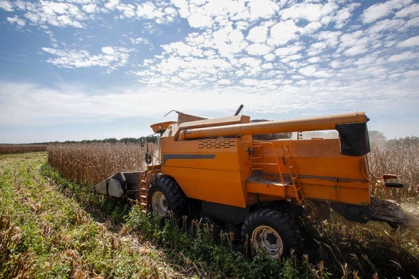 Machine makes the harvest of corn in the countryside in Brazil - Foto, Bild