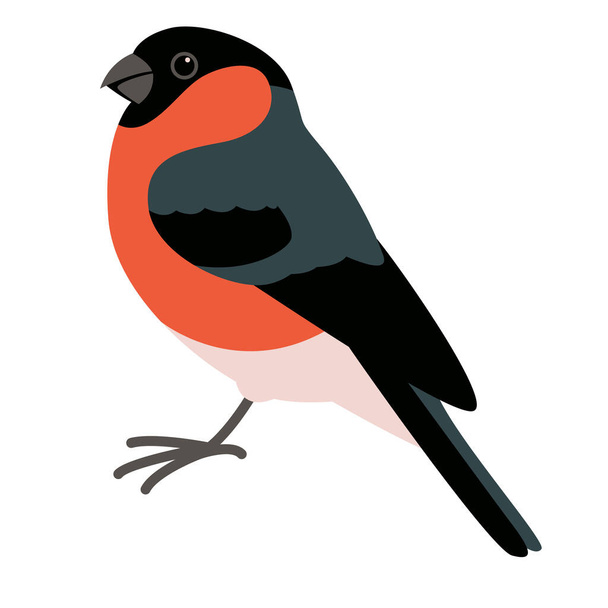 bullfinch vogel, vector illustratie, platte stijl, profiel kant - Vector, afbeelding