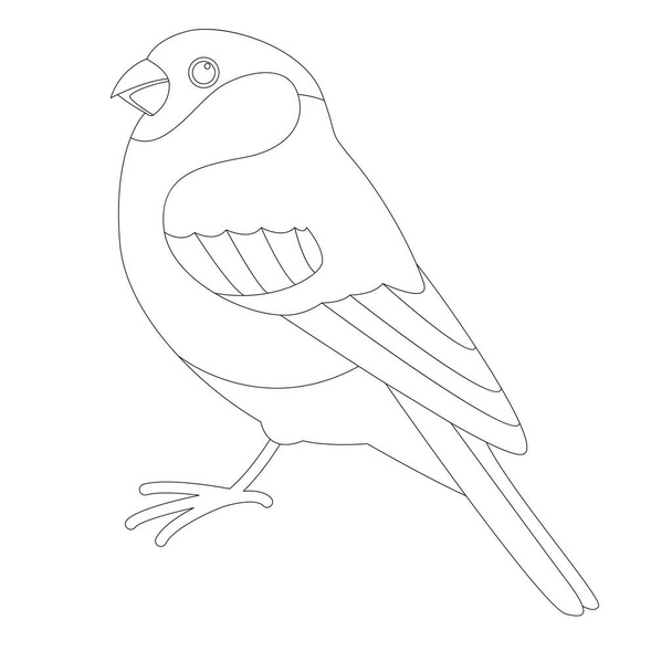 bullfinch bird, vector illustration, lining draw, profile side - Vektör, Görsel