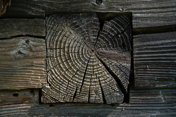 A fragment of the wall of an old wooden building in the village with the end of a hewn log. The surface damaged  by precipitation and air, rough, with wood annual grooves, cobwebs. Texture, copy space - Valokuva, kuva
