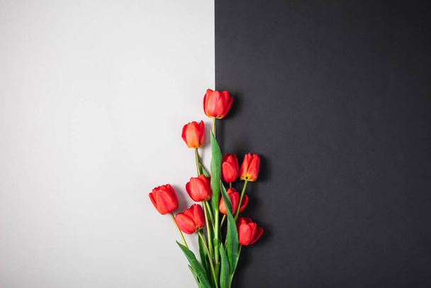 Rode bloemen tulpen half zwart en wit achtergrond. - Foto, afbeelding
