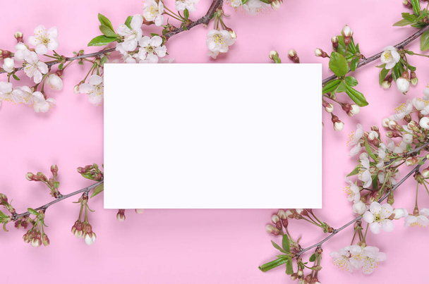 Spring floral background for greeting card on a pink background. Design with copy space. - Foto, afbeelding