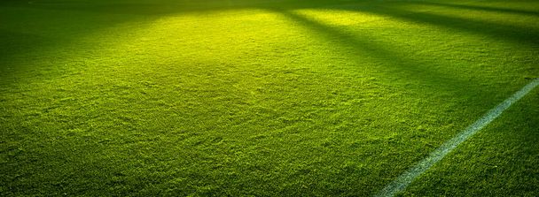 Πλευρικές γραμμές πανόραμα του ένα άδειο πράσινο πεδίο σπορ πριν από ένα παιχνίδι - Φωτογραφία, εικόνα