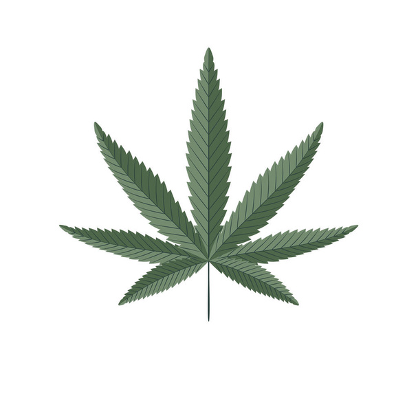 Cannabis hoja verde vector ilustración
 - Vector, Imagen