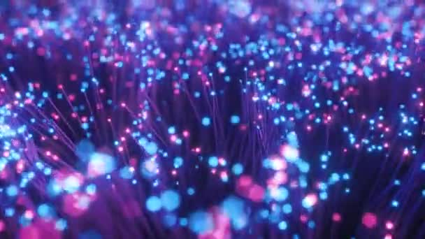 Fiber optic wires with flashing signals. Digital data transmission via fiber optic cable. Bouquet of colored optical fibers with bokeh. Technology concept. Seamless loop 3d render - Footage, Video