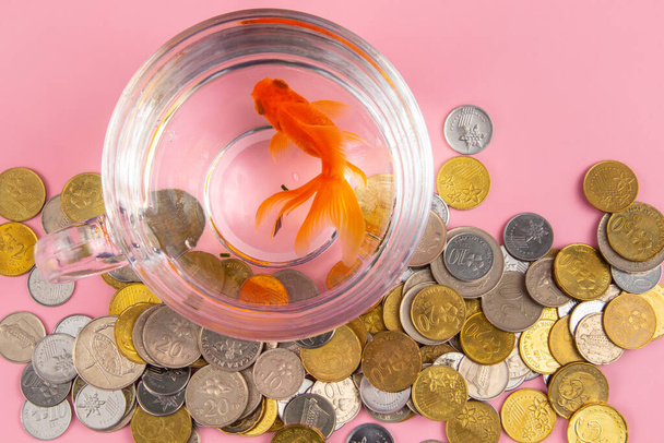 Munten, rood alarm Klok en gouden vis in een kom. Tijd is geld Concept, Business Concept.  - Foto, afbeelding