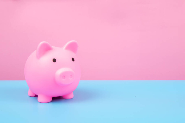 Pink Piggy bank on harmony background. - Zdjęcie, obraz