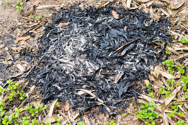 Следы горящих листьев на земле
 - Фото, изображение