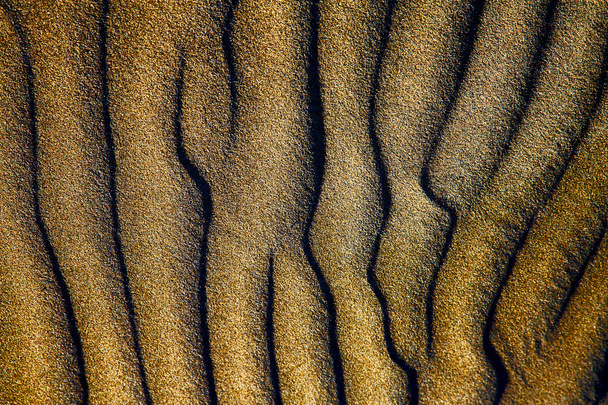 Spain texture abstract of a lanzarote - Fotoğraf, Görsel