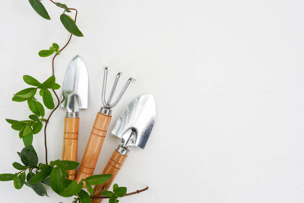 Gardening tools with green leaves on old white table. copy space - Photo, Image