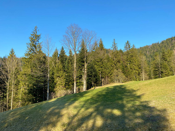 Alpesi legelők és legelők az Eigental alpesi völgyben és a környező dombokon kora tavasszal, Eigenthal - Luzern kanton, Svájc (Kanton Luzern, Schweiz) - Fotó, kép