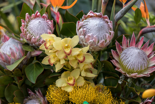 Schönheit floristische Dekoration mit bunten tropischen Blumen  - Foto, Bild