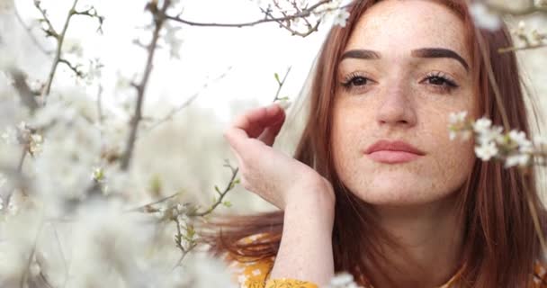 close face of girl with freckles. beautiful brown eyes. Red hair. young woman in a yellow dress between the branches of a tree. - Footage, Video