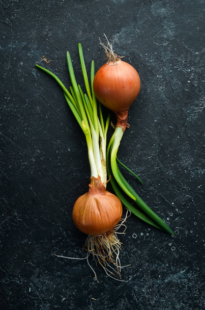 Fresh onions on a black stone background. Green onion. - Foto, afbeelding