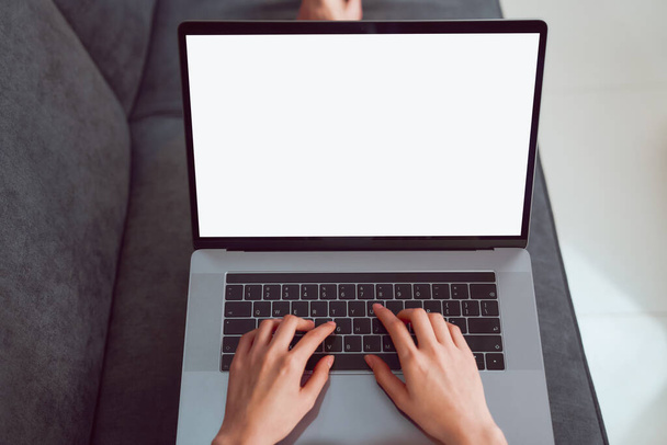 Mulher mão usando laptop no sofá em casa, simular a tela em branco
. - Foto, Imagem