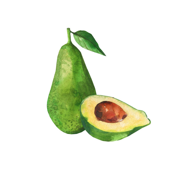 Akvarel ilustrace avokáda. Izolované na bílém pozadí. Zdravé jídlo, organické jídlo, vegetarián. Zelená avokádo zelenina - Fotografie, Obrázek