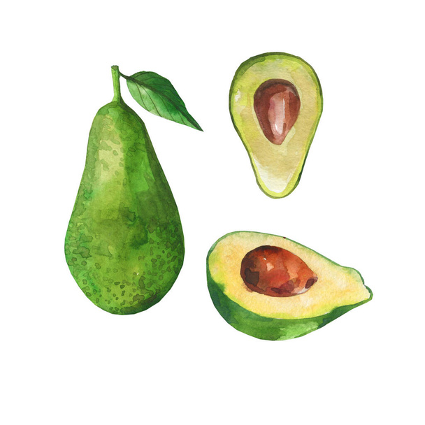 Akvarel ilustrace avokáda. Izolované na bílém pozadí. Zdravé jídlo, organické jídlo, vegetarián. Zelená avokádo zelenina - Fotografie, Obrázek