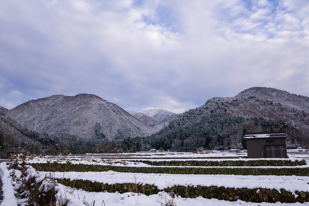 Shirakawa Köyü, 1995 yılında UNESCO 'nun dünya mirası olarak listelenmişti. Dağ tarafından çevrelenmiş Budist keşişlerin ellerine benzeyen sarp sazlı çatılarla tasarlanmış bir çiftlik evi.. - Fotoğraf, Görsel