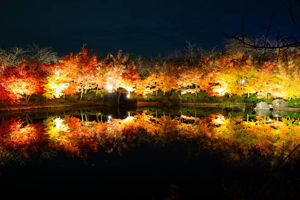 桑名市にある植物園・テーマパーク「なばなの里」は、最も魅力的で最大の冬のイルミネーションイベントが開催され、公園内にはイルミネーションが設置されています。. - 写真・画像