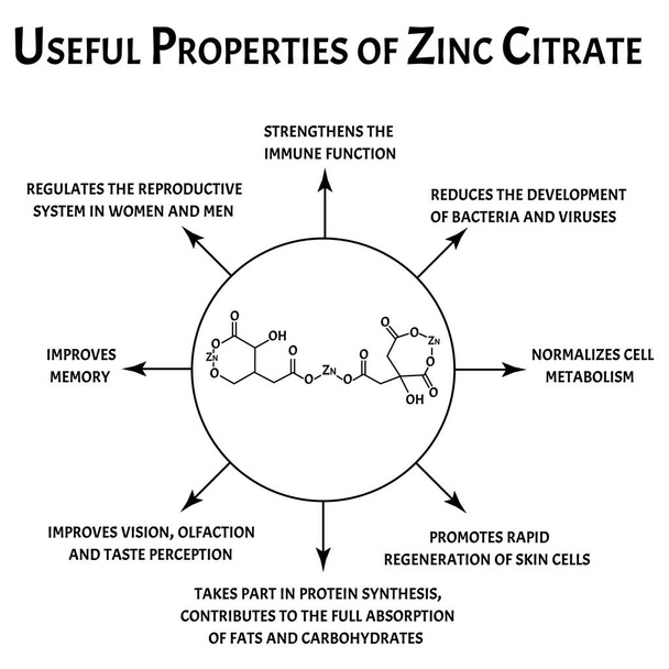 Zinc citrate useful properties molecular chemical formula. Zinc infographics. Vector illustration on isolated background. - Vector, Image