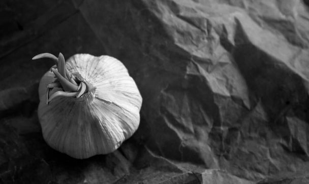 Garlic on dark  grey background. Ingredients top view photo.  - Foto, Imagen