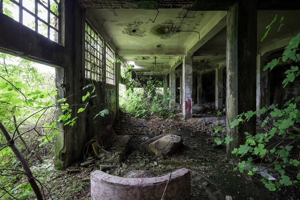 Поврежденная структура заброшенного здания, полного грязи и зеленых растений - Фото, изображение