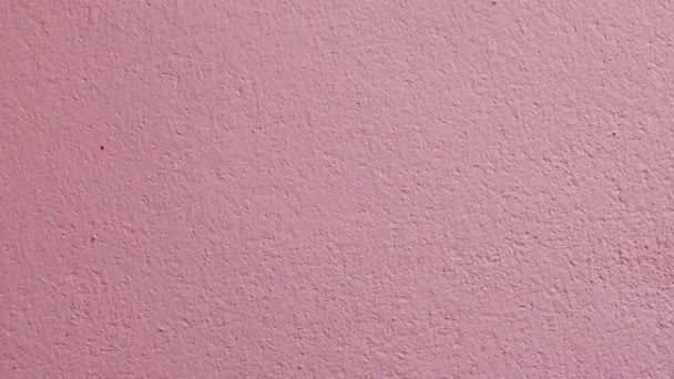 Zoom en fondo de pared rosa
. - Metraje, vídeo