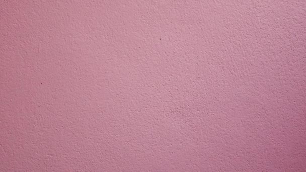 Zoom in roze muur achtergrond. - Video