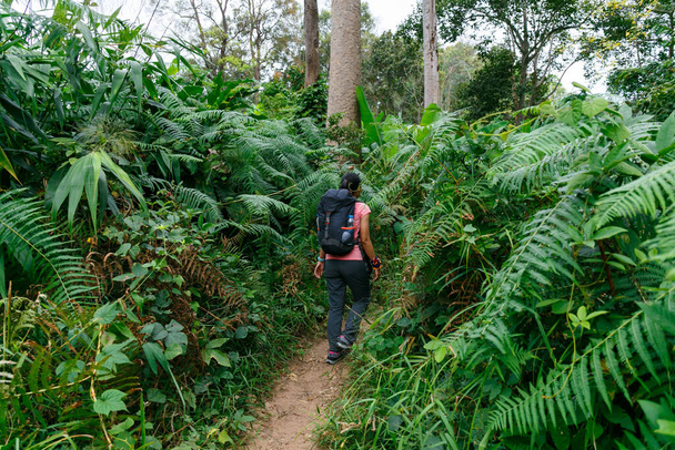女性は歩くと、タイの森の中でトレッキングの間のジャングルの道を探して. - 写真・画像
