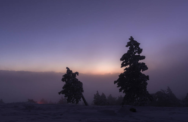 El-Petri Kırım dağında kış gecesi. Kışın güzel mavi bir saat. Kış ormanı ve ilk yıldızlar. Gece kışı manzarası - Fotoğraf, Görsel