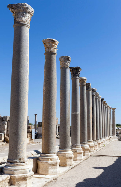 ruines d'agora dans l'ancienne ville de Perge Antalya situé en Turquie
. - Photo, image