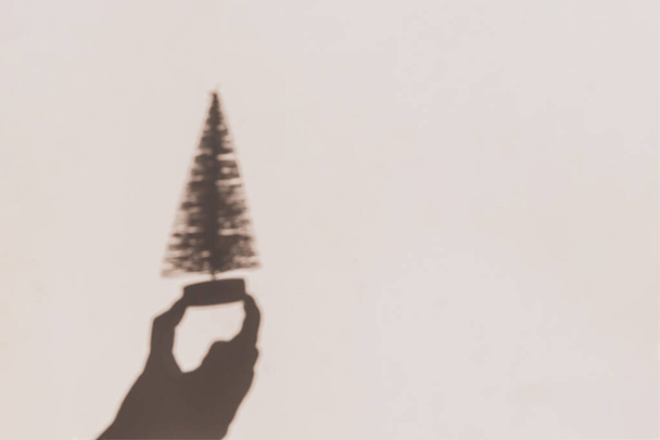 Ombres botaniques grises de main tenant arbre de Noël miniature sur fond mural beige. Concept créatif de Noël. - Photo, image