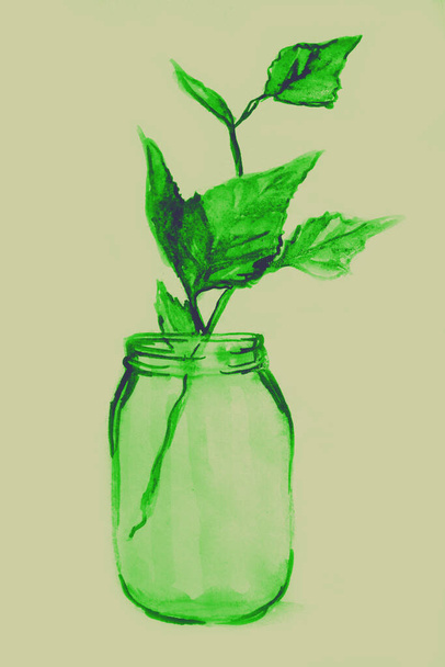 Hand drawing watercolor picture of part of leaves in glass jar - Fotografie, Obrázek
