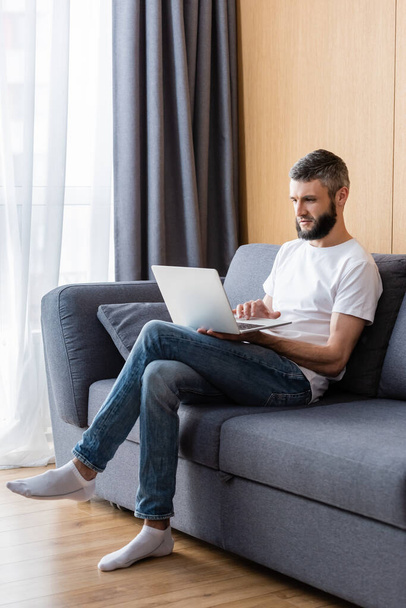 Freelancer using laptop while sitting on couch at home  - Foto, afbeelding