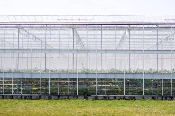 Exteriér skleníku ze skla - Fotografie, Obrázek