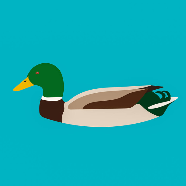a graphic illustration of Mallard Duck for use as a logo or icon - Photo, Image