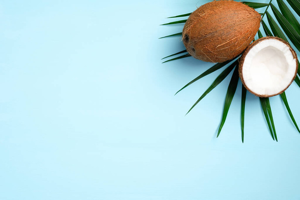 Summer background with tropical palm leaf and coconut fruit on blue background. Flat lay, top view, copy space. - Foto, Imagen