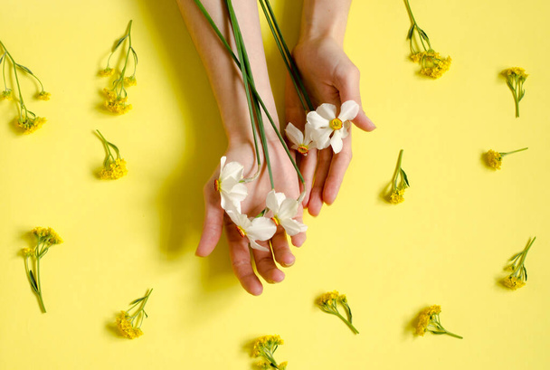 Hands with daffodils lie on a paper background. Hands of a young girl lie on a table with daffodils. Natural cosmetics, essential oils, anti-aging hand care. - 写真・画像