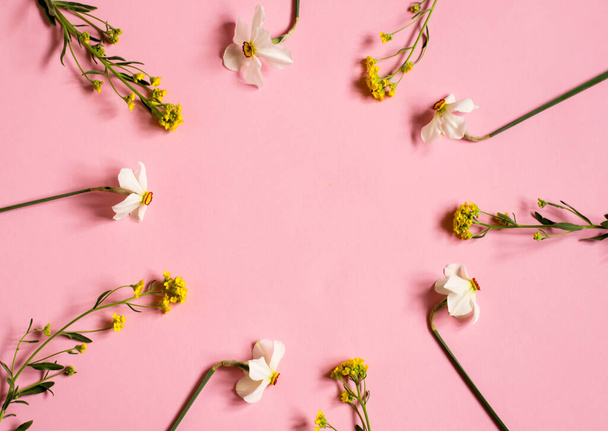 A nárciszok rózsaszín háttéren nyugszanak. Egy csokor virág. Virágos háttér. A szöveg helye. - Fotó, kép