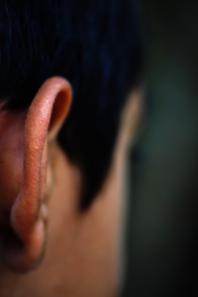 Ear and Profile - Photo, Image