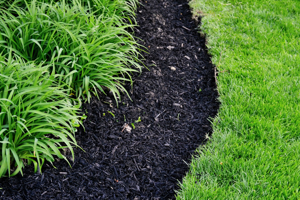 Perfectly cut edge of lawn next to fresh mulch and compost mixture filled in new spring flowerbed with hemerocallis perennial flowers garden detail, spring garden maintenance work - Photo, Image