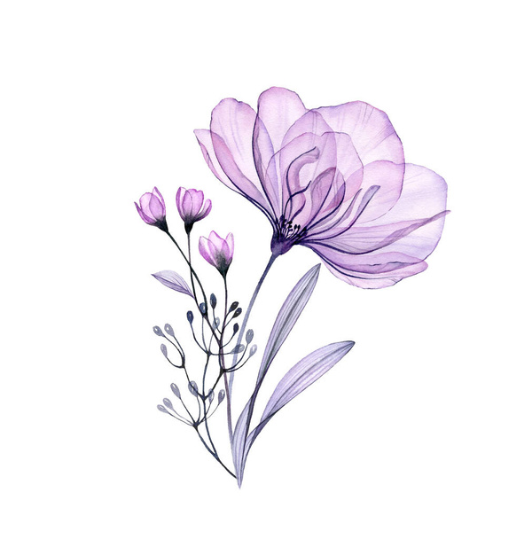 水彩のバラの花束。手描きの作品は、白に隔離された透明な紫色の花。カード、結婚式のデザインのための植物イラスト - 写真・画像