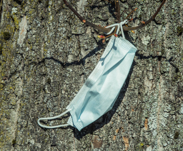 Maschera medica respiratoria sui rami dell'albero
 - Foto, immagini