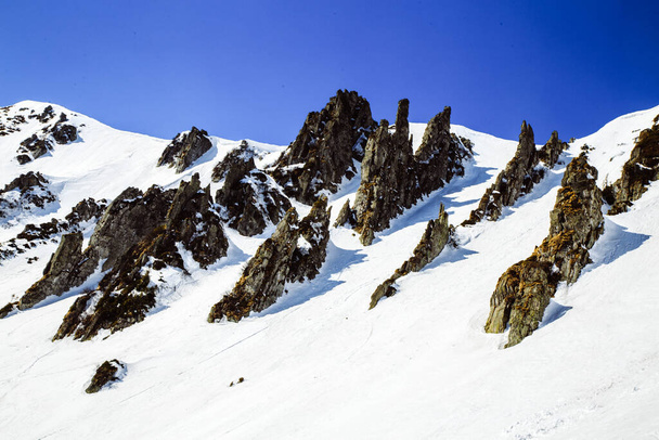 冬の季節に山Shpytsiへのハイキング,旅行のコンセプト,ウクライナ - 写真・画像