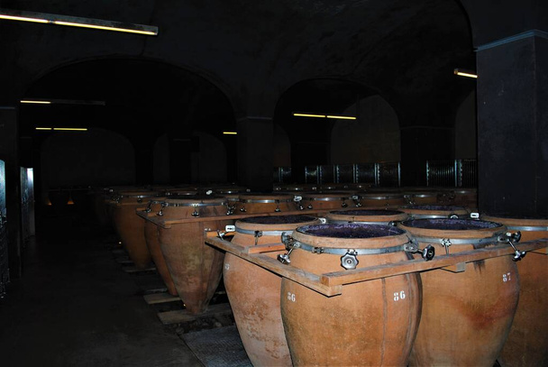 Келар для вина в Північній Італії - Фото, зображення