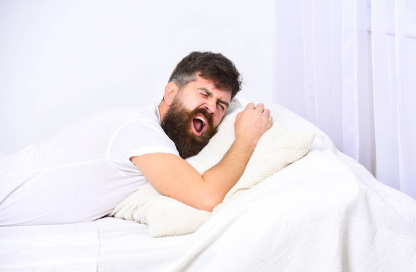 Man in shirt laying on bed, white wall on background. Nap and siesta concept. Guy on sleepy tired face yawning. Macho with beard and mustache yawning, relaxing, having nap, rest. - Фото, изображение