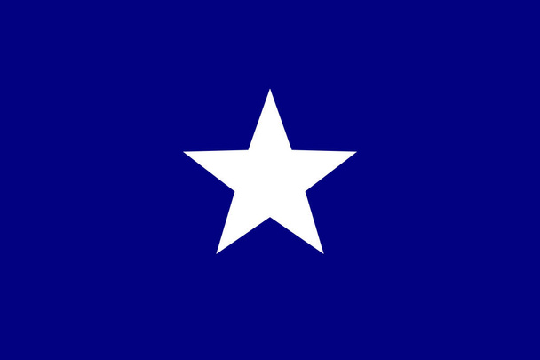 Bonnie Błękitna flaga nieoficjalny sztandar Konfederackich Stanów Zjednoczonych Ameryki - Zdjęcie, obraz