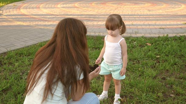 Mother shows her child pinecones. little daughter and mother play in park on lawn and collect cones. child walks on green grass. concept of a happy childhood. A happy family is walking with a child. - Foto, Imagen